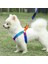 Gökkuşağı Dağcılık Halatı Medium Köpek Takım Tasma 12KG Max 4