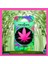 Joe Mary Juana Pembe Kalorifere Geçme Oto Kokusu 3