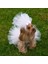 Pet Gelinlik ve Duvak Köpek ve Kedi Için Düğün Nikah Nişan Evlilik Kıyafeti 2