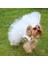 Pet Gelinlik ve Duvak Köpek ve Kedi Için Düğün Nikah Nişan Evlilik Kıyafeti 4