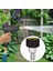 Basınçlı Erkek Için M22 Için Yüksek Basınçlı Yıkama Adaptör Nozulları 3/8 '' Ila M22 (Yurt Dışından) 5