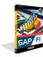 Sap Fi 2