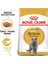 British Shorthair Yetişkin Kuru Kedi Maması 2 kg 2