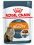 Intense Beauty Jelly Yetişkin Kedi Konserve 85 gr 1