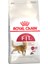 Fit 32 Yetişkin Kuru Kedi Maması 2 kg 1