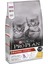 Kitten Tavuklu&pirinçli Yavru Kedi Maması 10 kg 3