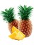 Saksıda Ananas Meyvesi Fidanı (Queen Cinsi) 1