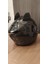 Motosiklet Kask Kedi Kulağı Süsü 4