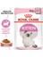 Kitten gravy Yavru Kedi Konservesi 12 x 85 gr 2