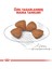 Royal Canın Xsmall Puppy - 3 kg 4