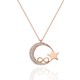  Renk Rose Gold