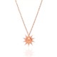  Renk Rose Gold