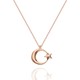 Renk Rose Gold