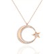  Renk Rose Gold