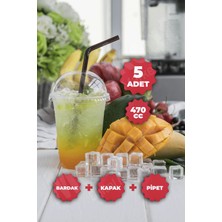 Markcat Plastik Milkshake Bardağı + Kapak + Pipet 16 Oz (470 Cc) - 5 Adet