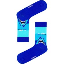 Carnaval Socks 5'li Hayvan Temalı Unisex Çorap Seti ve Hediye Kutusu