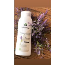 Medirose Lavanta Şampuanı 500ML