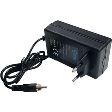 Wellpower 16V 2A Multiswitch Santral Adaptörü Rca Jak Fişli