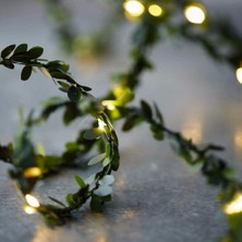 Bonibbo Sarmaşık Peri LED Işık 5 Metre|yaprak Şerit LED Dizesi-Gün Işığı 50 Led-Dekoratif LED Aydınlatma