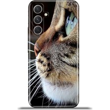 Cupcase Samsung Galaxy A54 5g Kılıf Esnek Silikon Kamera Koruma 4K Desenli Özel Tasarım - Tekir