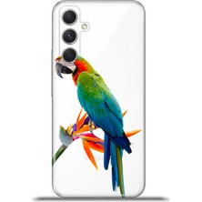 Cupcase Samsung Galaxy A54 5g Kılıf Esnek Silikon Kamera Koruma 4K Desenli Özel Tasarım - Macaw Papağan