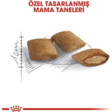 Royal Canin Ageing +12 Yaşlı Kedi Maması 2kg