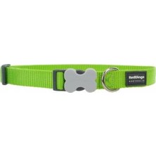 Reddingo Klasik Lime Köpek Boyun Tasması L 25MM / 41-63 cm