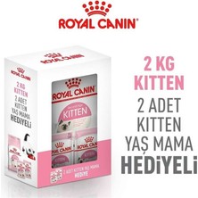 Royal Canin Kitten Yavru Kedi Maması 2 kg   2 Adet Royal Canin Kitten Yaş Mama Hediyeli