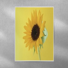Reysa Tasarım Ay Çiçeği Posteri 35X50 cm