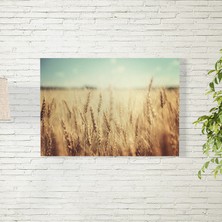 Reysa Tasarım Buğday Tarlası ve Gün Doğumu Posteri 35X50 cm