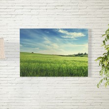 Reysa Tasarım Yeşil Buğday Tarlası Posteri 35X50 cm
