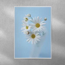 Reysa Tasarım Beyaz Alman Papatyaları Posteri 35X50 cm