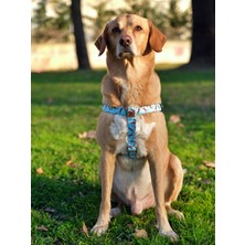 Utd Pet Tigerfly Köpek Göğüs Tasması