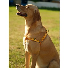 Utd Pet Yellowdoggy Köpek Göğüs Tasması