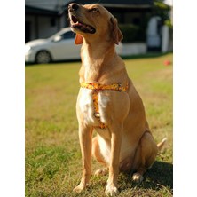 Utd Pet Yellowdoggy Köpek Göğüs Tasması