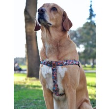 Utd Pet Street Köpek Göğüs Tasması
