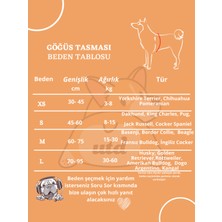 Utd Pet Laydbug Köpek Göğüs Tasması