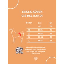 Utd Pet Erkek Köpek Ciş Bel Bandı Külot Pedli Yıkanabilir