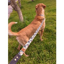 Utd Pet Toco Köpek Tasma Seti