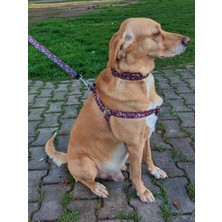 Utd Pet Muertos Köpek Tasma Seti