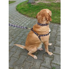 Utd Pet Classy Köpek Tasma Seti