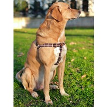 Utd Pet Classy Köpek Tasma Seti