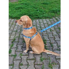 Utd Pet Bluedoggy Köpek Tasma Seti