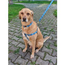 Utd Pet Bluedoggy Köpek Tasma Seti