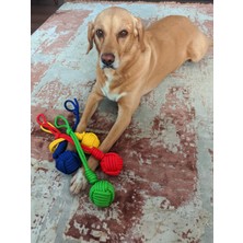 Utd Pet Köpekler Için Çekiştirmeli Halat Top Oyuncağı Renkli