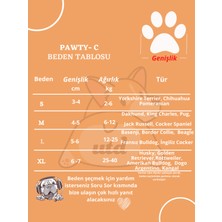 Utd Pet Pawty-C Cırtlı Yumuşak Köpek Ayakkabısı