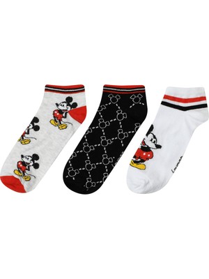 Lumberjack Wl Conn 3 32 3fx Beyaz Kadın Çorap