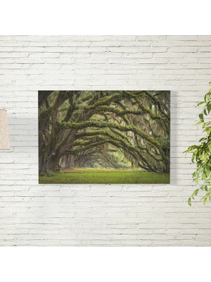 Reysa Tasarım Orman Posteri 35X50 cm