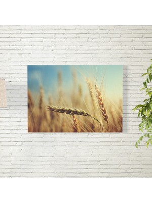 Reysa Tasarım Buğday Posteri 35X50 cm