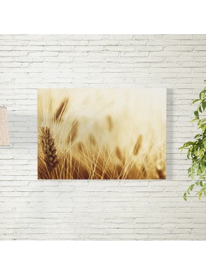 Reysa Tasarım Buğday Tarlası Posteri 35X50 cm